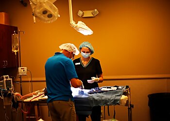 Amarillo Veterinary Clinics Swann Animal Clinic