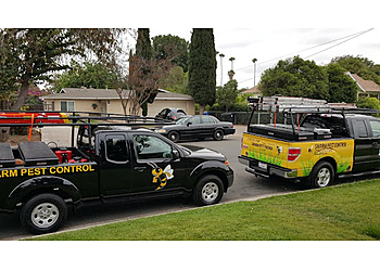 Santa Ana Pest Control Companies Swarm Pest Control, Santa Ana