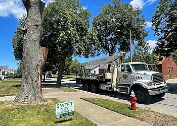 Cleveland Tree Services Swift Tree Services LLC