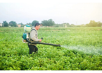 3 Best Pest Control Companies in Jackson, MS - Expert Recommendations