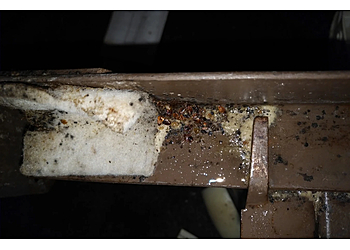 Evansville Animal Removal T&G Pest Control