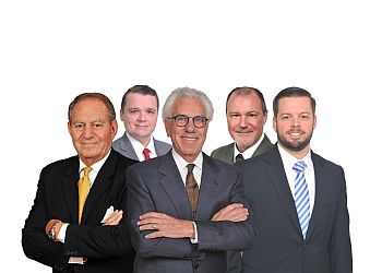 THE FLORIDA LAW GROUP