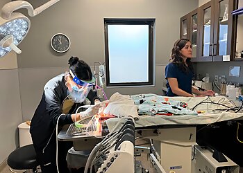 El Paso Veterinary Clinics TLC Animal Hospital