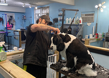 Columbus Pet Grooming TLC Grooming Clintonville