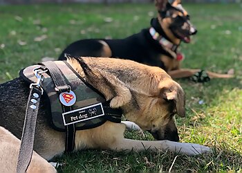 Chandler Dog Walkers TLC House & Pet Sitting Service, LLC