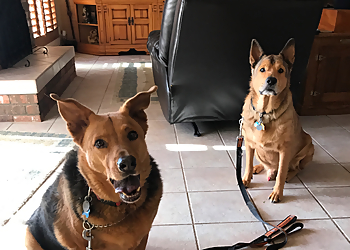 Gilbert Dog Walkers TLC House & Pet Sitting Service, LLC