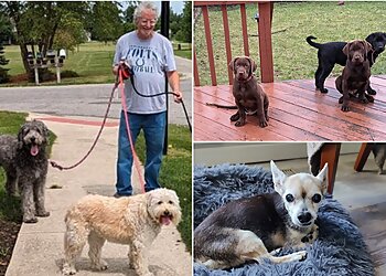 Fort Wayne Dog Walkers TLC In-Home Pet Care