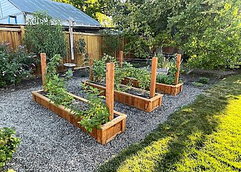 Boise City Landscaping Companies TLC Landscape