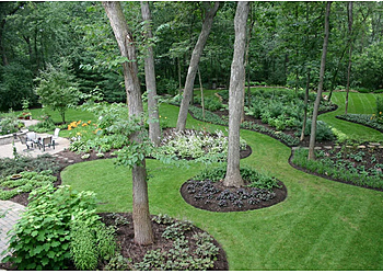 Olathe Lawn Care Services TLC Lawn Care Inc.