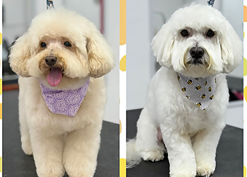 Irvine Pet Grooming TLC Pet Shop & Grooming