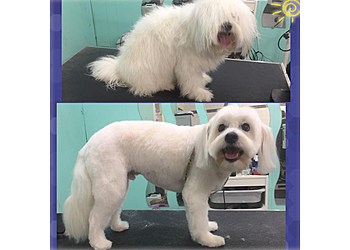 Irvine Pet Grooming TLC Pet Shop & Grooming
