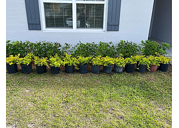 Port St Lucie Lawn Care Services TLG Lawn LLC