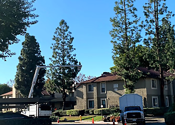 Rancho Cucamonga Tree Services TNA Tree Service