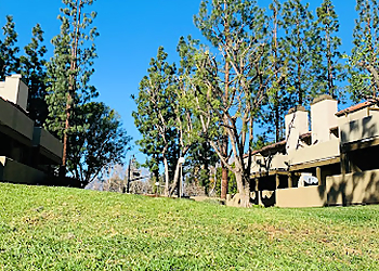 Rancho Cucamonga Tree Services TNA Tree Service