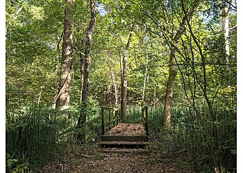 Memphis Hiking Trails T.O. Fuller State Park