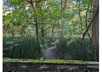 Memphis Hiking Trails T.O. Fuller State Park