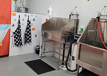 Huntington Beach Pet Grooming TOP DOG Barkery, Bath & Boutique