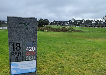 San Francisco Golf Courses TPC Harding Park