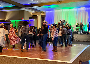 Austin Entertainment Companies TSE Entertainment