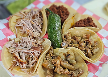 Hialeah Food Trucks Taco Chundito Food Truck