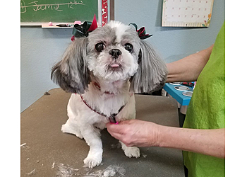 Tacoma Pet Grooming Tacoma's Best Pet Grooming