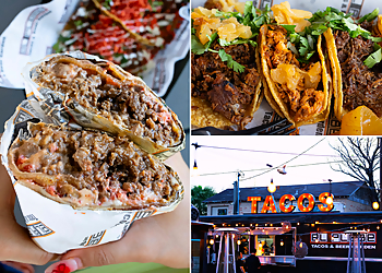 Tacos el Plebe - McAllen, TX Food Trucks - collage image(highlights)