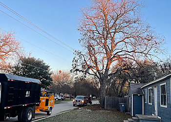 Irving Tree Services Tactical Tree Operations