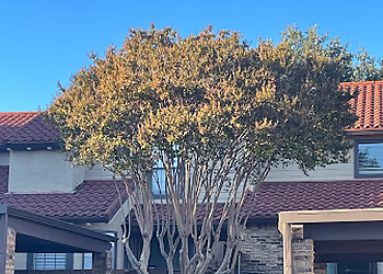 Irving Tree Services Tactical Tree Operations