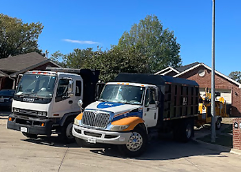 Tactical Tree Operations Irving Tree Services image 1