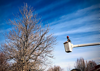 Boulder Tree Services Taddiken Tree Company