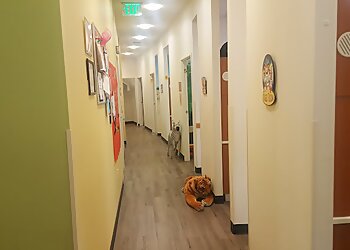 Escondido Kids Dentists Tahir Paul, DDS - KIDZ CARE DENTAL GROUP