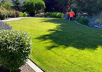 Reno Lawn Care Services Tailored Lawn Care LLC