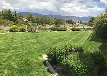 Reno Lawn Care Services Tailored Lawn Care LLC