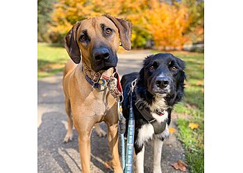 Portland Dog Walkers Tails & Trails, Inc