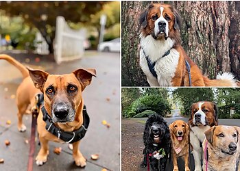 Portland Dog Walkers Tails & Trails, Inc