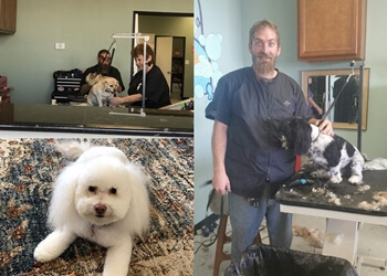 3 Best Pet Grooming in Lancaster, CA - Expert Recommendations