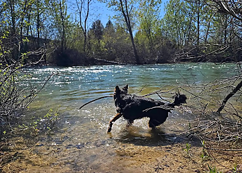 Take Paws Pet Care Services - Boise City, ID Dog Walkers - Service Highlights