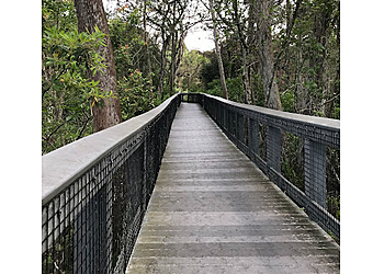Coral Springs Hiking Trails Tall Cypress Natural Area