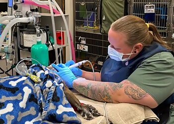 Aurora Veterinary Clinics Tall Grass Animal Hospital