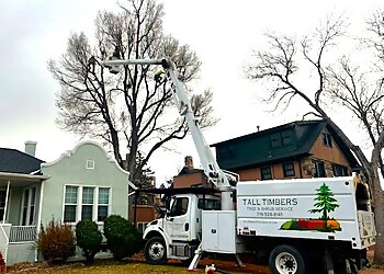 Colorado Springs Tree Services Tall Timbers Tree & Shrub Service
