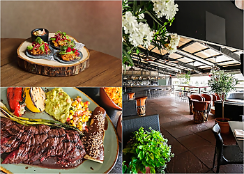 Denver Mexican Restaurants Tamayo