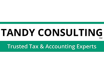 Tandy Consulting Inc - Fullerton, CA Accounting Firms - Company Logo