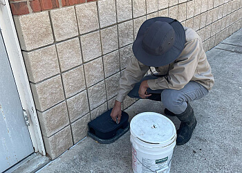 Laredo Pest Control Companies Target Pest Control