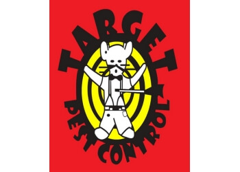 3 Best Pest Control Companies in Brownsville, TX - Expert Recommendations