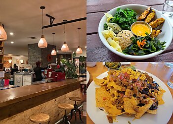 Fort Collins Vegetarian Restaurants Tasty Harmony