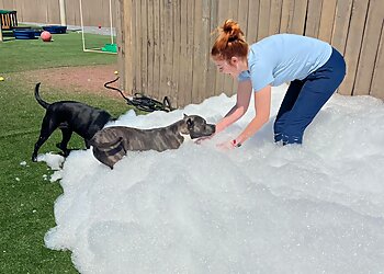 Montgomery Veterinary Clinics Taylor Crossing Animal Hospital