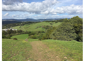 Taylor Mountain Regional Park - Santa Rosa, CA Hiking Trails - Attraction Image