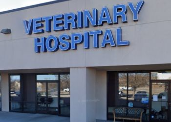 Taylor Ranch Veterinary Hospital Albuquerque Veterinary Clinics