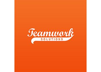 Teamwork Solutions Group, LLC 