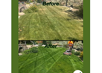 Tegrity Lawn Care - Reno, NV Lawn Care Services - Job Site Image